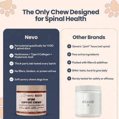 Nevo Wirbelsäulen Softchews